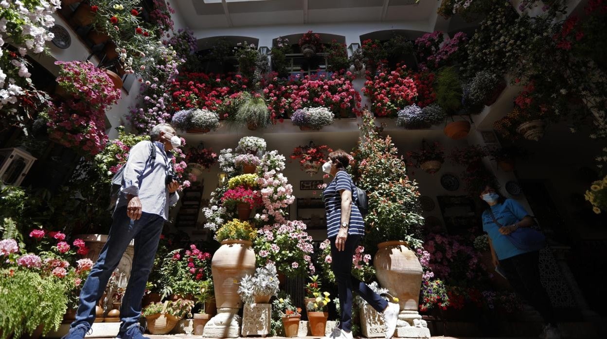 Patio de Parras, 5, ganador en Arquitectura Moderna