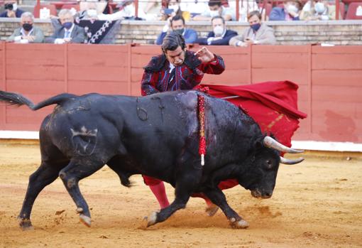 Morante de la Puebla, hoy en la Plaza de Córdoba durante la lidia de uno de sus toros