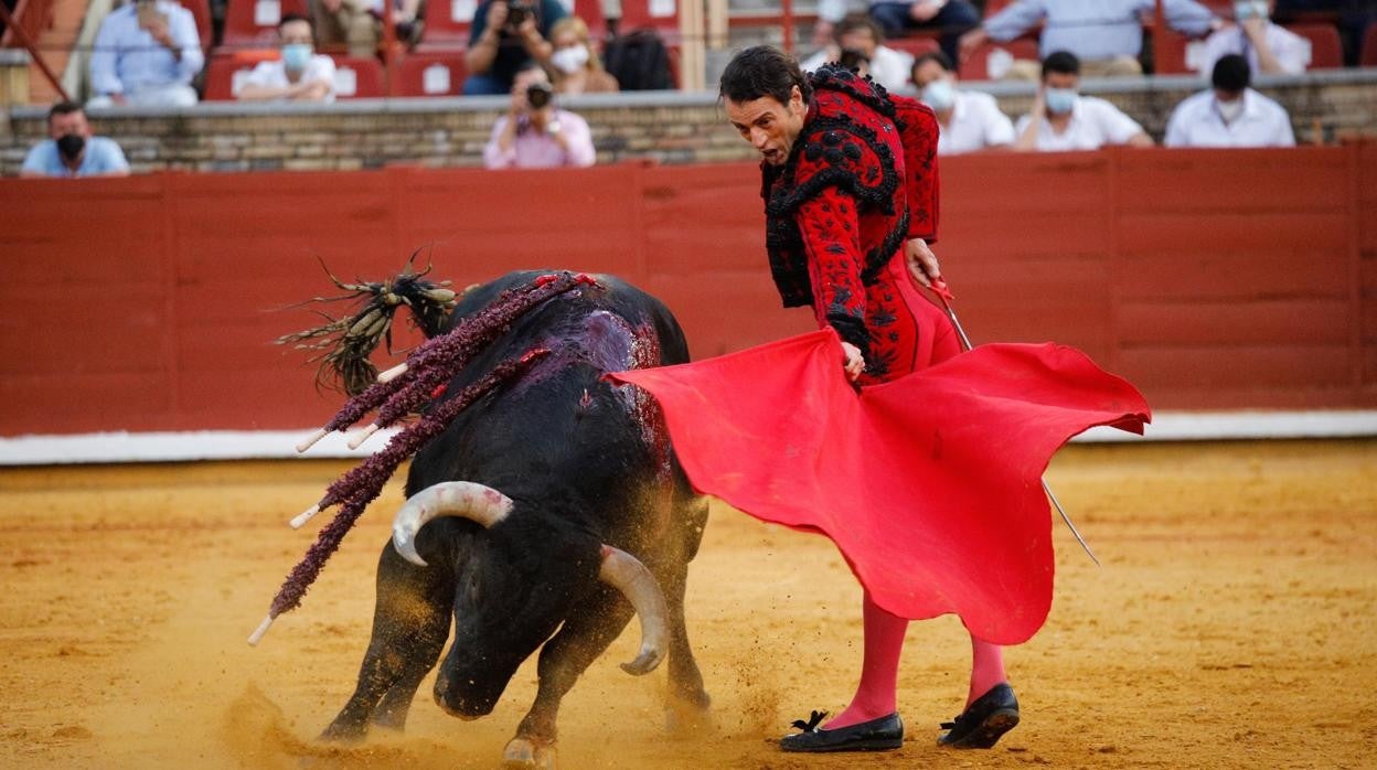 Finito de Córdoba, en la corrida del pasado domingo