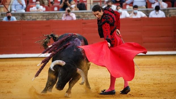 El Ayuntamiento deja desierto el premio Manolete de la Feria taurina de mayo