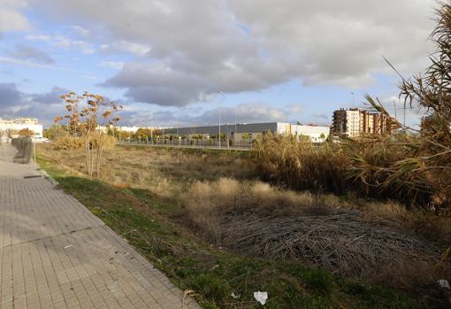 Prolongación de la avenida de Manolete, donde iba a construirse la otra comisaría