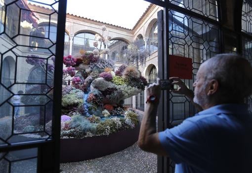 Festival Flora Córdoba, las claves de la continuidad del certamen de arte floral este otoño