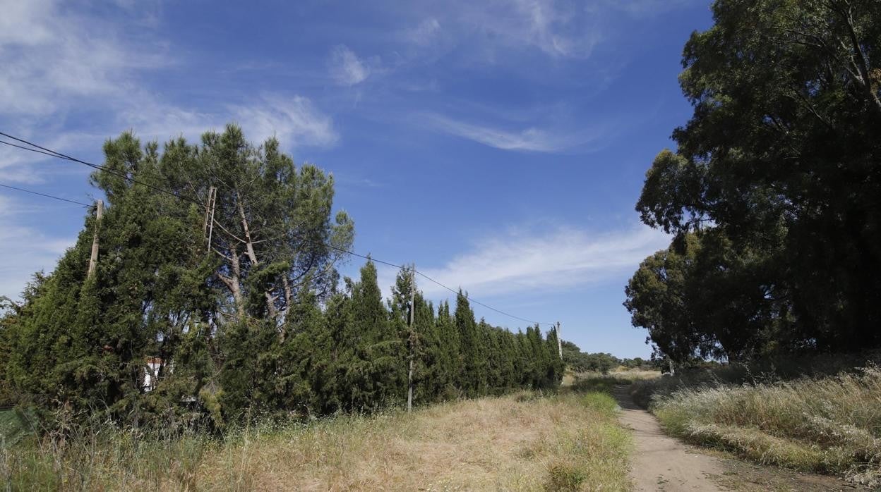 Zona que se analiza en el núcleo de Estación de Obejo