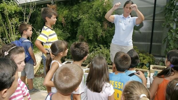 El Programa de Actividades de Verano en los colegios de Córdoba se desarrollará del 1 al 13 de julio