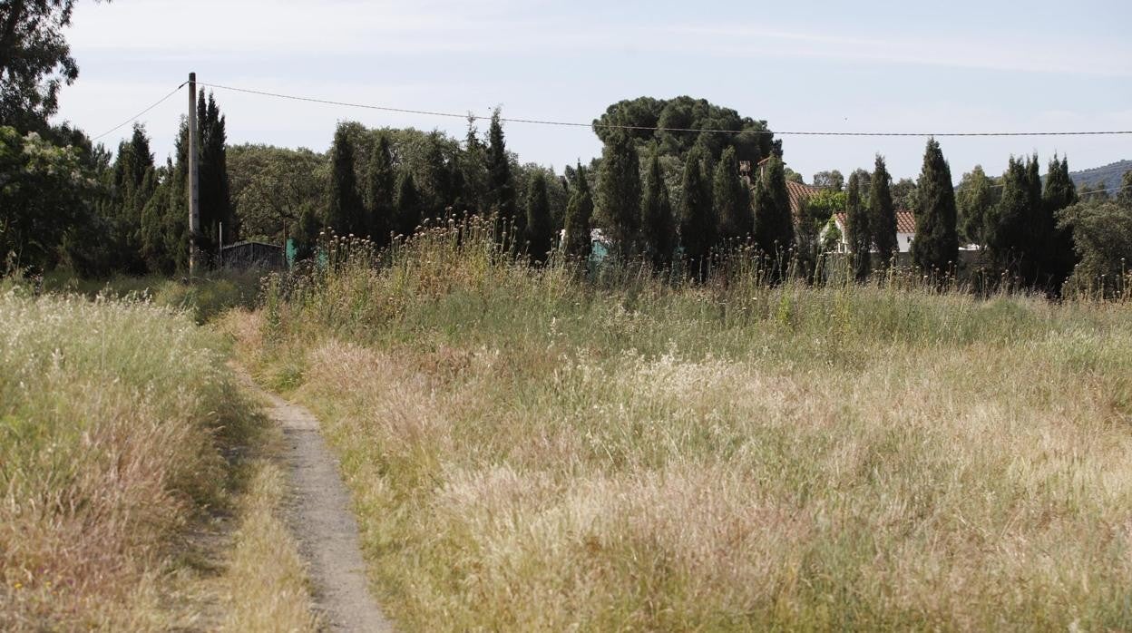 Vía pecuaria que supeustamente invadió la finca de Isabel Ambrosio