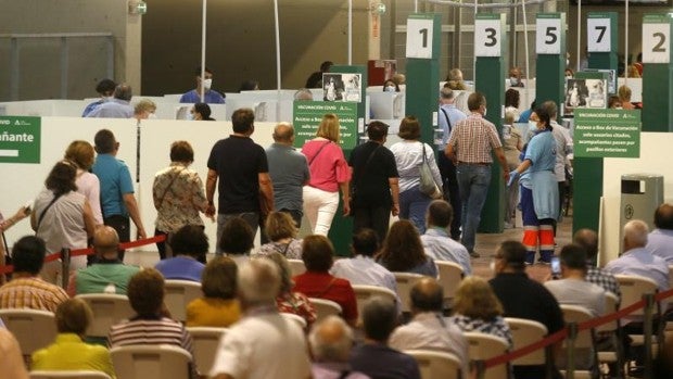 La tasa de incidencia Covid andaluza se mantiene a 80 puntos por encima de la media nacional