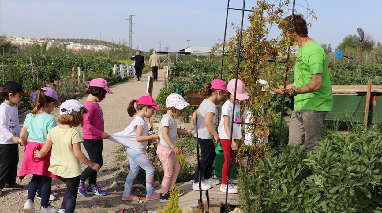 Un grupo de escolares visita una zona de huertos urbanos en Lucena