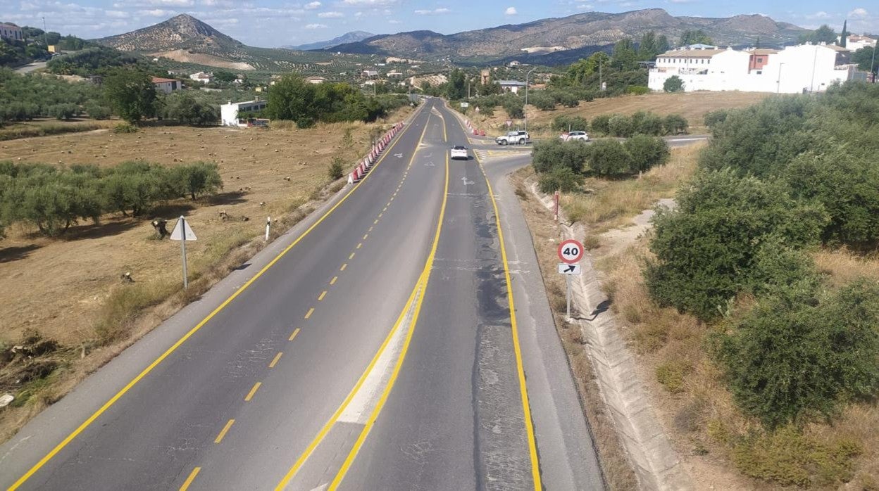 Olivos cortados (izquierda) y pintado de la calzada previo a las obras