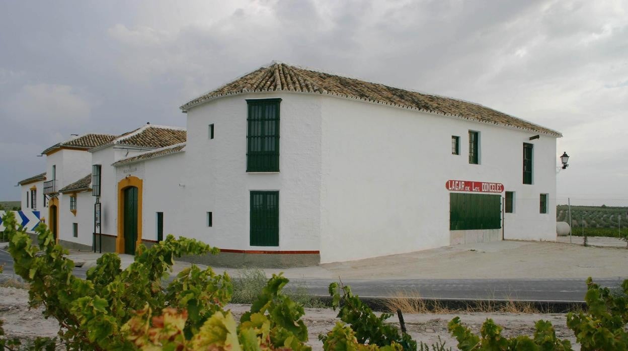 Lagar de los Donceles, uno de los alojamientos rurales situado en el marco vitivinícola Montilla-Moriles