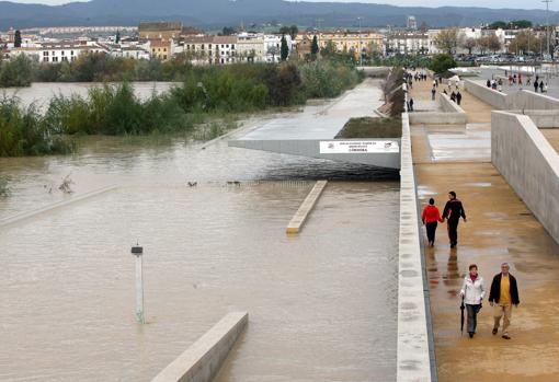 El Balcón del Guadalquivir, de Juan Navarro