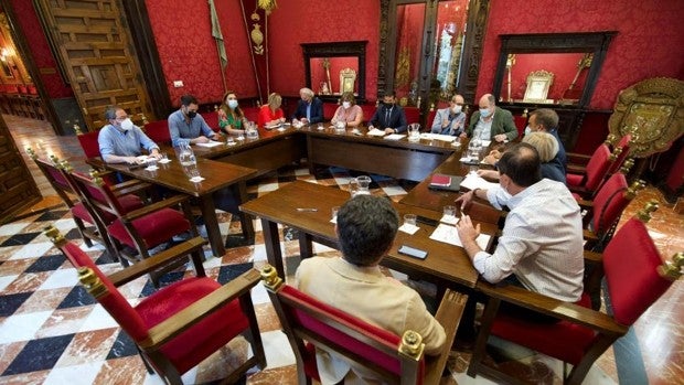 Uno de los concejales suspendidos de militancia en Ciudadanos gobernará con el PSOE en Granada