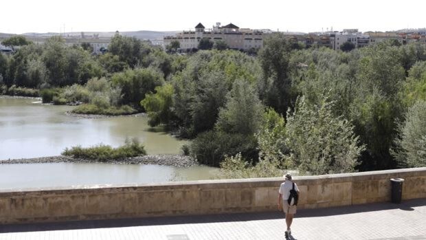 La vida de Córdoba construida en torno al agua
