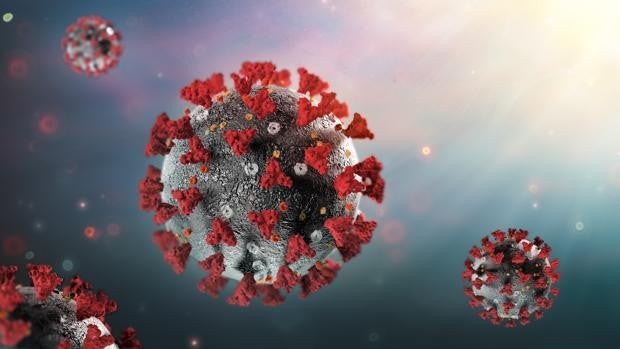 ¿Dejaremos de estar protegidos frente al coronavirus cuando disminuyan nuestros anticuerpos?