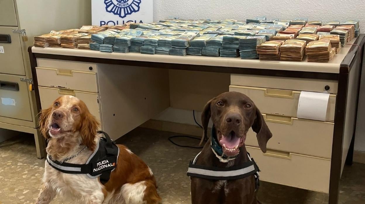 Los dos perros policías de la intervención junto al dinero incautado