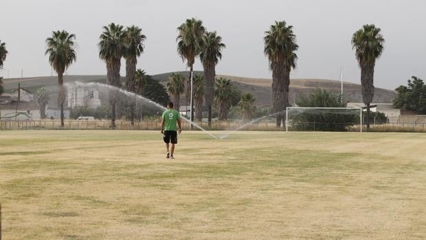 Córdoba CF | El campo grande de la Ciudad Deportiva no se recuperará hasta diciembre