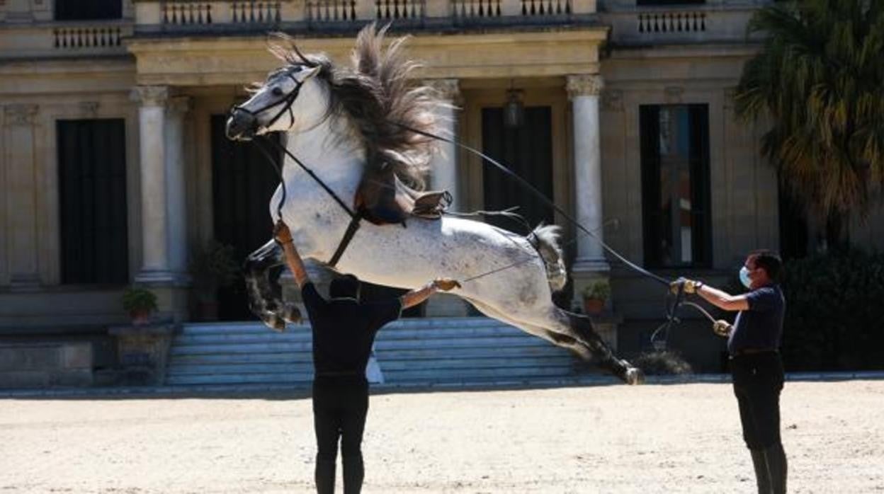 La Real Escuela Andaluza del Arte Ecuestre