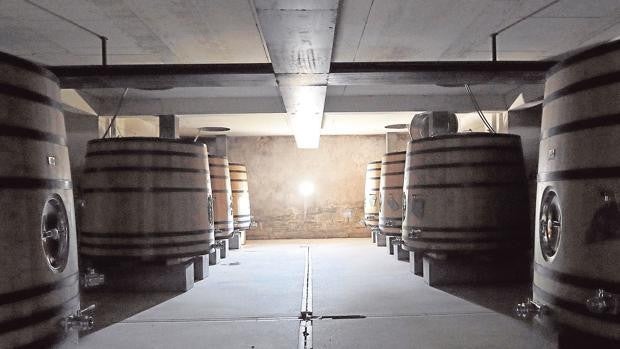 La Junta montó una bodega para hacer vino en Córdoba que solo se usó de forma puntual