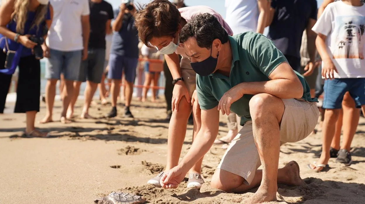 El presidente Juanma Moreno soltando una de las tortugas