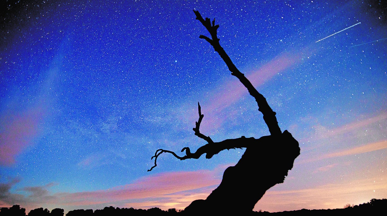 Imagen de cielos estrellados en el Norte cordobés