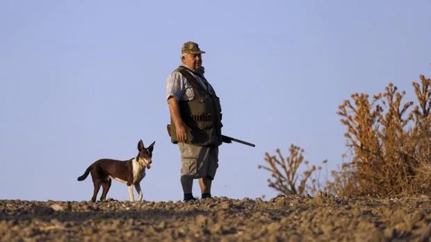 El domingo comienza la temporada de caza en Córdoba, la primera sin tórtola