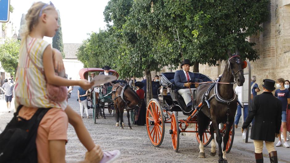 Concurso de Atalaje de Córdoba | La «maravilla» de los carruajes clásicos vuelve a las calles y a Caballerizas