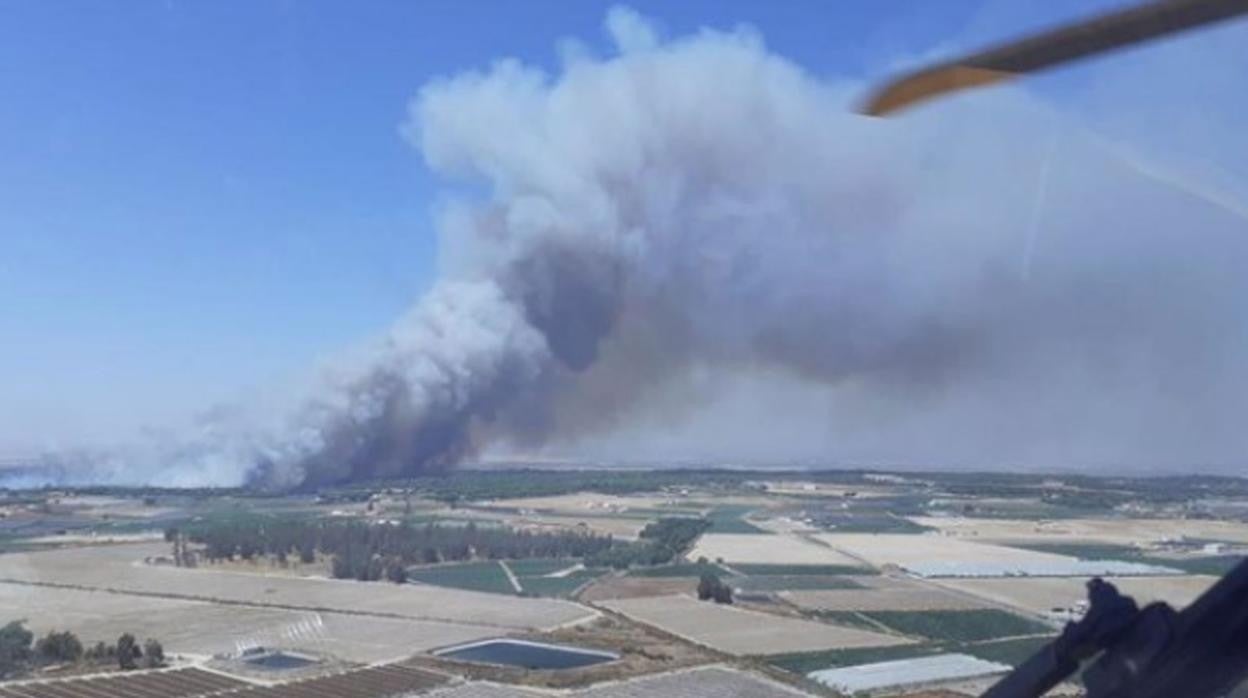 Imagen del incendio de Lucena del Puerto