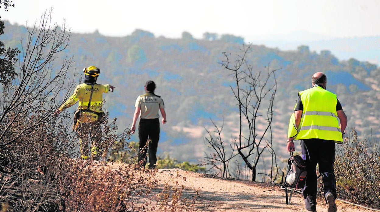 Personal del Infoca trabajando en la extinción del incendio ayer