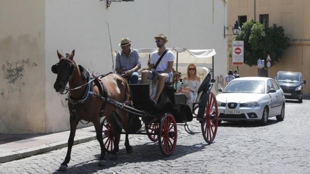 Asociaciones animalistas proponen sustituir los coches de caballos de Córdoba por calesas eléctricas