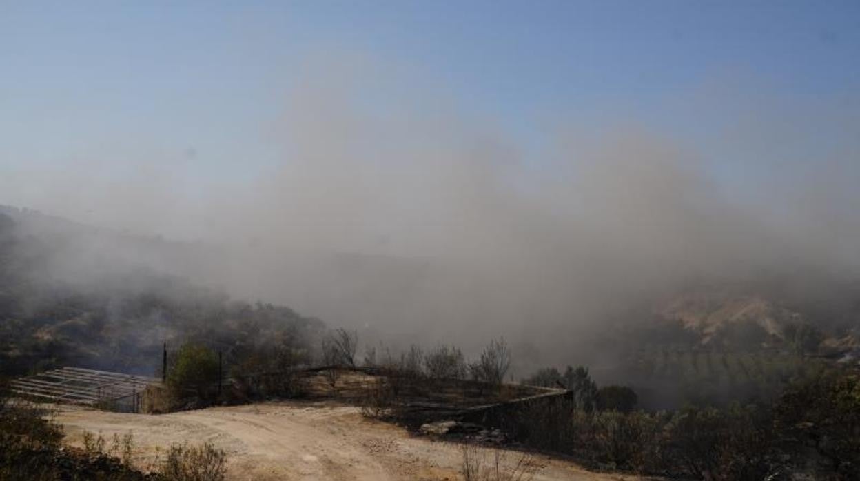 Incendio en Alcaracejos