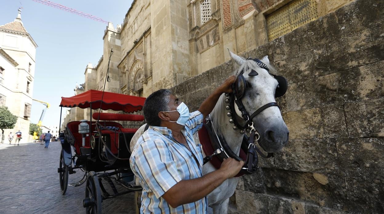 Un cochero cuida a su caballo junto a la Mezquita-Catedral de Córdoba