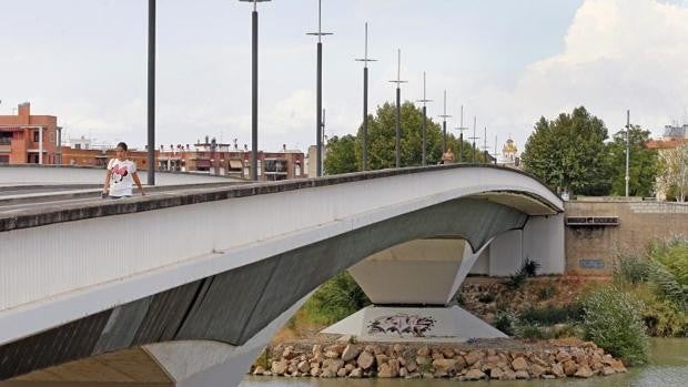 La Policía Nacional salva la vida de un joven que estaba sentando en el Puente del Arenal