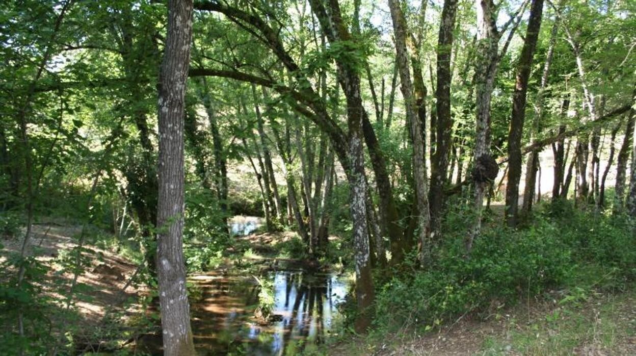 El arroyo Bejarano, en una imagen de archivo