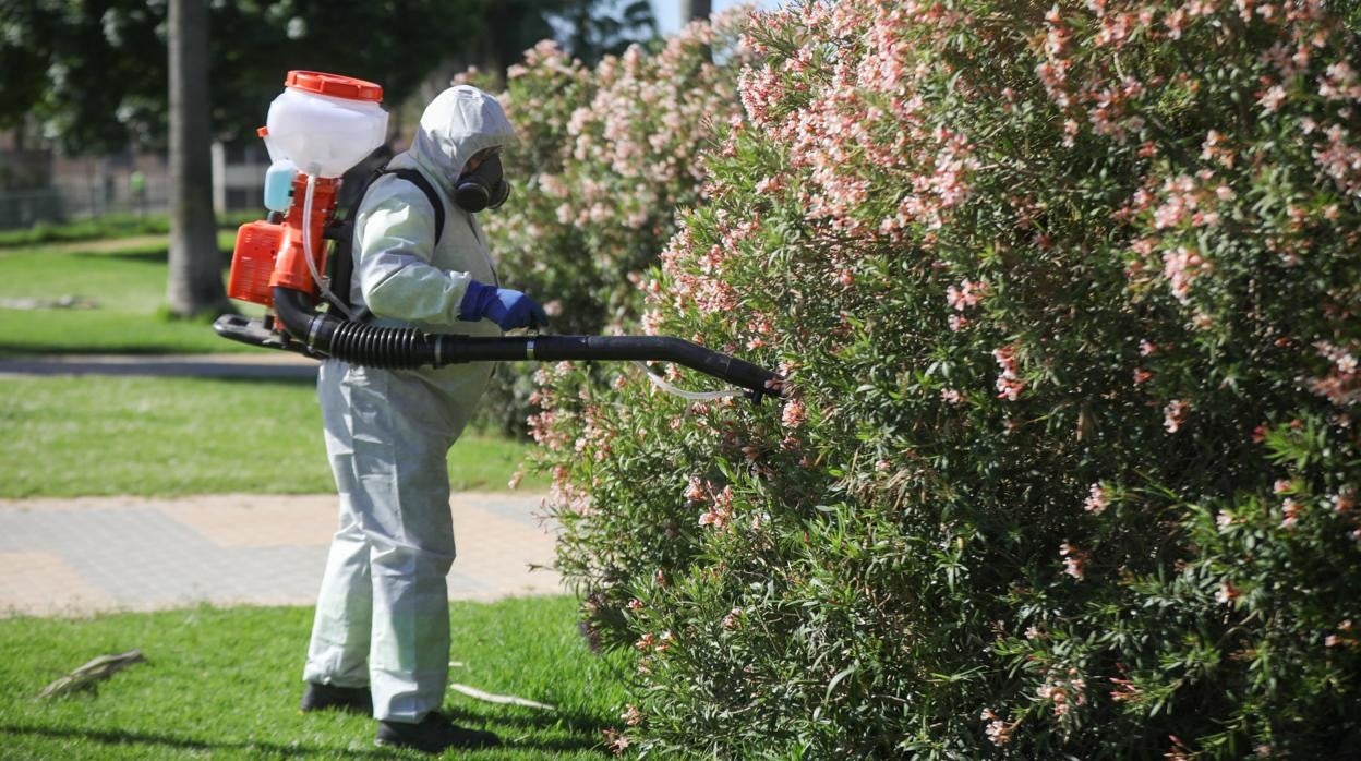 Trabajos de fumigación contra el Virus del Nilo