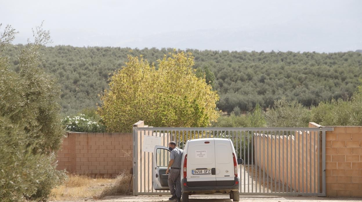 Centro de Protección canina del Ayuntamiento de Lucena