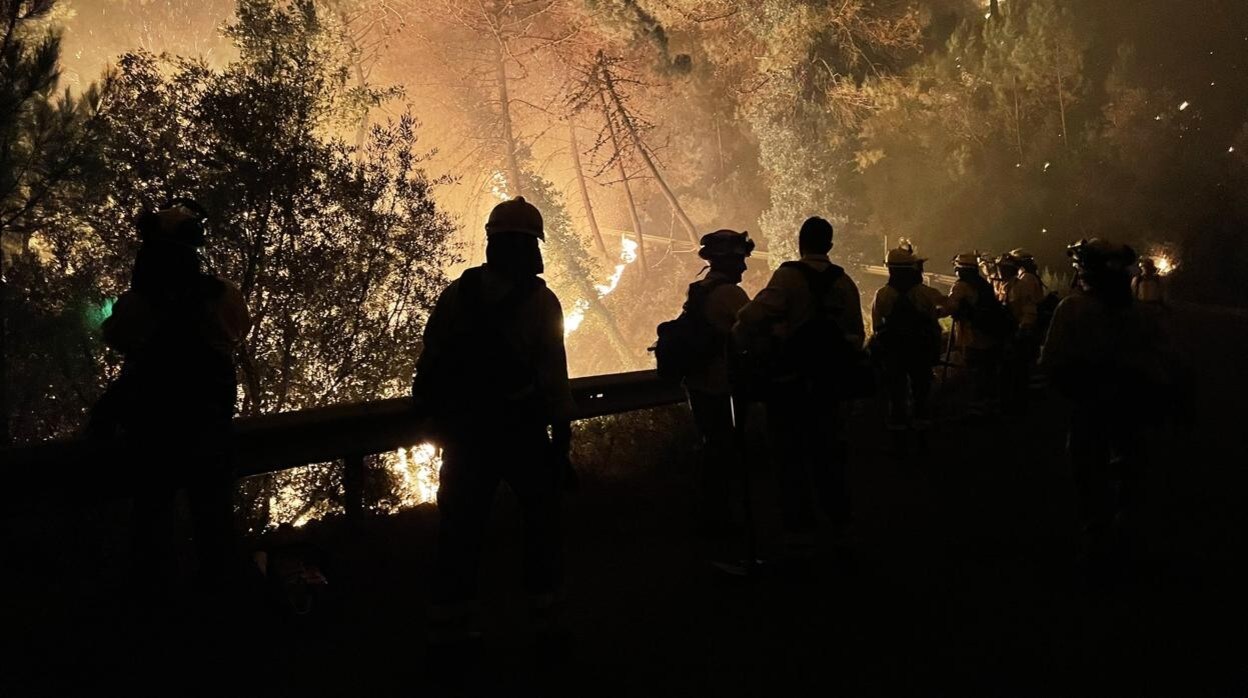 Labores de extinción en el incendio de Sierra Bermeja en Estepona