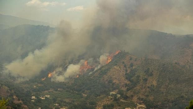 Las reacciones de políticos y famosos por el incendio de Sierra Bermeja: «Me duele Málaga»