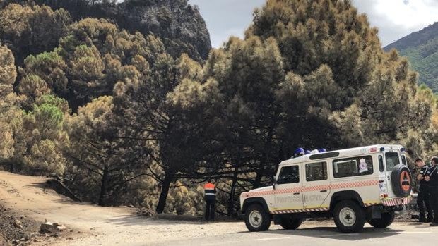 En la ‘zona cero’ del incendio de Sierra Bermeja: «Hemos perdido 35 años de desarrollo»