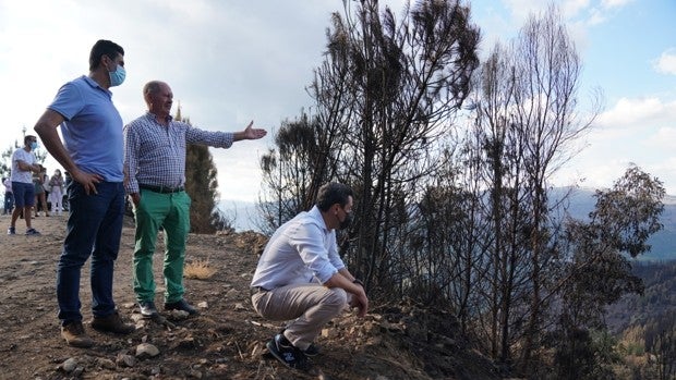 Moreno reprocha a Espadas que politice la catástrofe de Sierra Bermeja sembrando dudas sobre la entrada de la UME