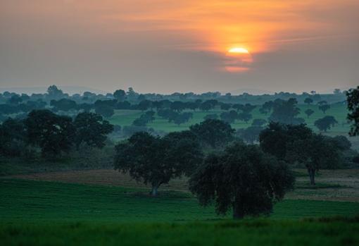 Los atardeceres más bellos de Córdoba