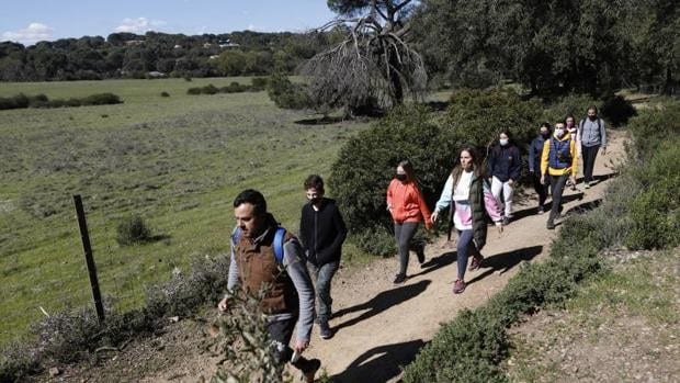 Cinturón Verde de Córdoba | La Junta de Andalucía licita las obras del segundo tramo por la Sierra