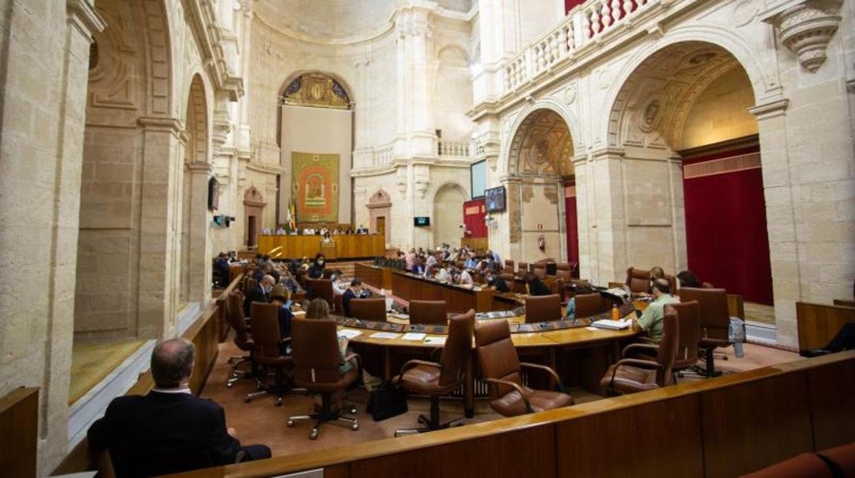 Los diputados andaluces en la sesión plenaria de este miércoles