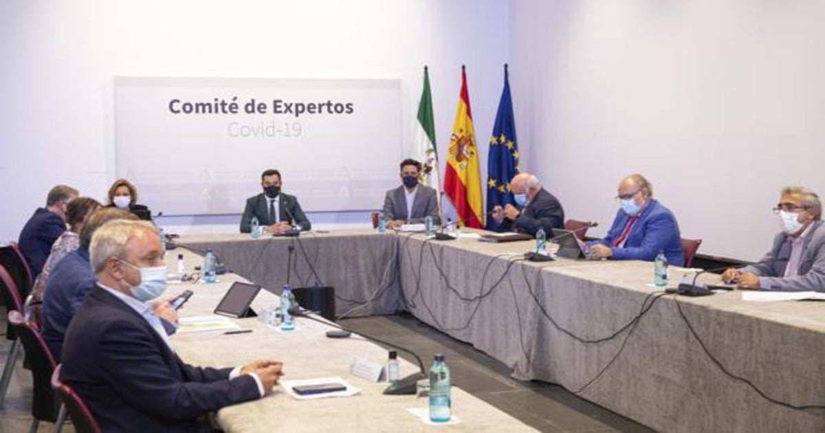 Comité de expertos de la Junta