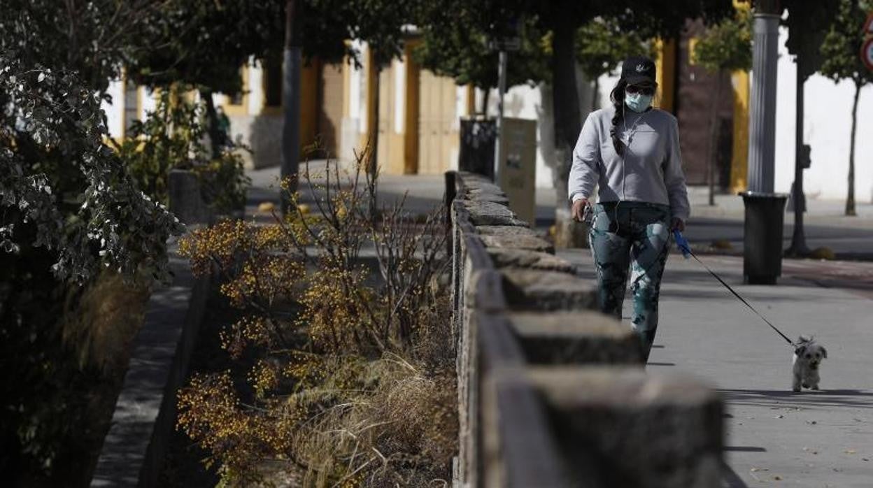 Una chica pasea por la Ribera en Córdoba en una imagen reciente