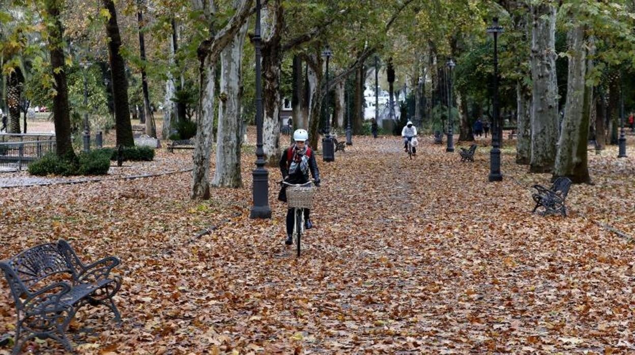 Otoño en Córdoba