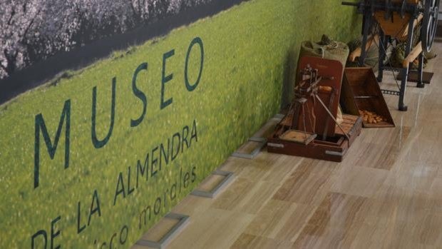 Tenis de mesa | El Museo de la Almendra, nuevo patrocinador del Priego femenino