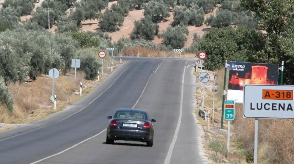 Paisaje de olivares a la entrada de Lucena, en una imagen de archivo