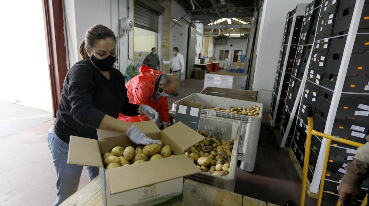 Trabajo en el Banco de Alimentos Medina Azahara de Córdoba