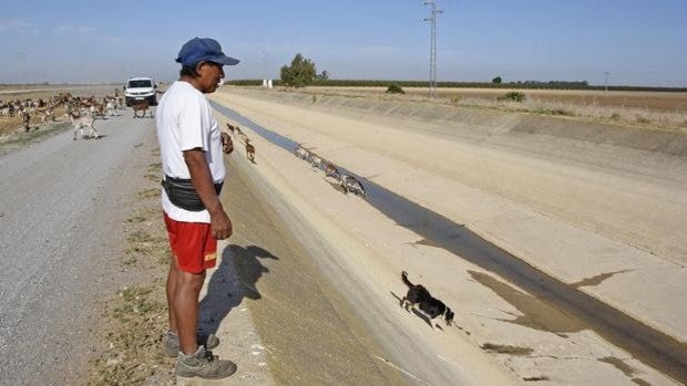 La Confederación Hidrográfica del Guadalquivir pedirá el decreto de sequía el 2 de noviembre