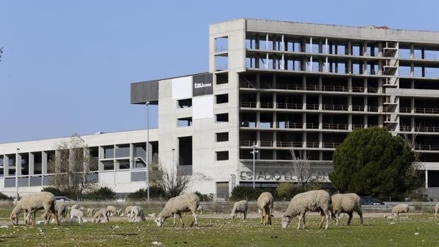 El Nuevo Arcángel, o la historia de un estadio interminable a lo largo de dos décadas