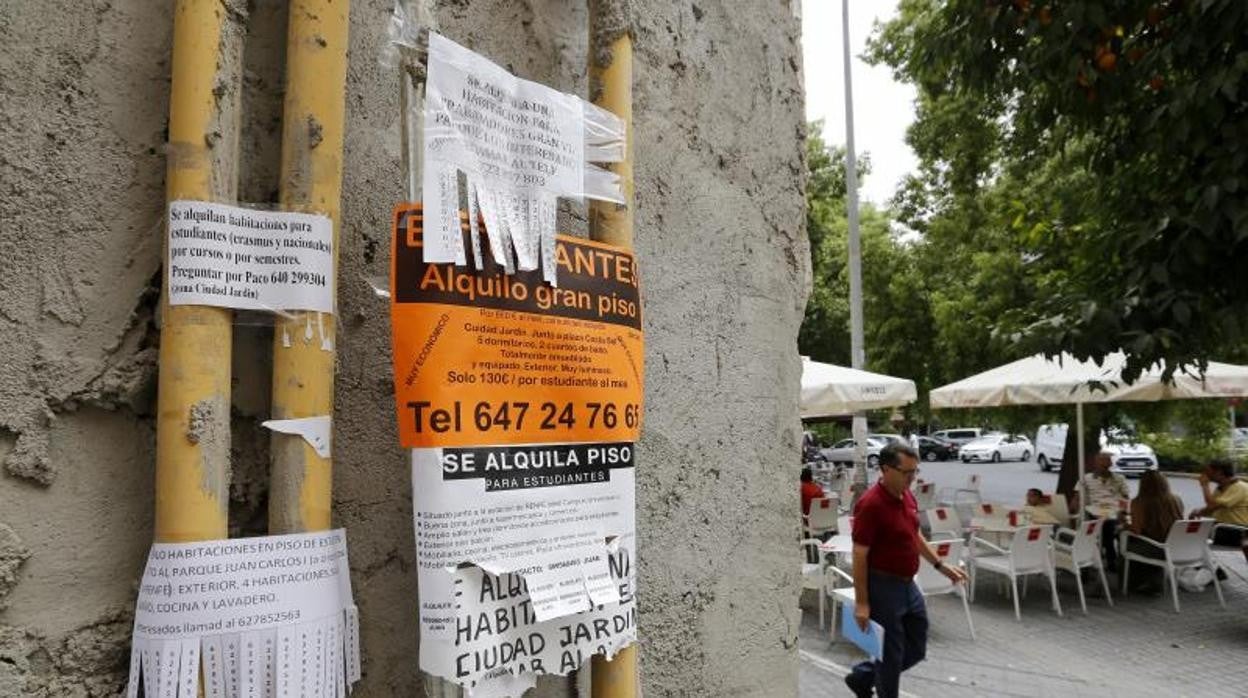 Carteles con ofertas de pisos en alquiler en Ciudad Jardín, en una imagen de archivo